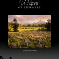 TETONS AND LUPINE HORIZONTAL